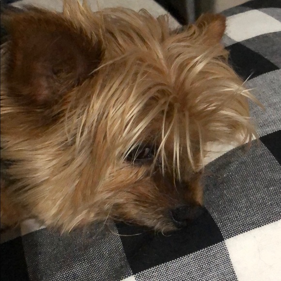 Meet your Posher, Lori - Picture 1 of 1